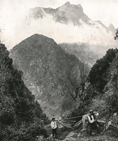 1895年，葡萄牙马德拉群岛，大博物馆。 作者 不明