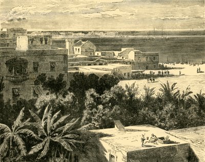 1890年，亚历山大港大港口。 作者 不明