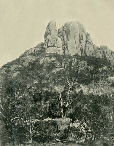 1901年，布法罗山脉驼峰。 作者 不明