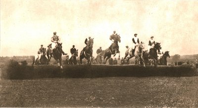 1911年在Punchestown的Hunt杯。 作者 不明