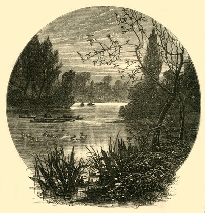 湖，巴特西公园，1878年。 作者 不明