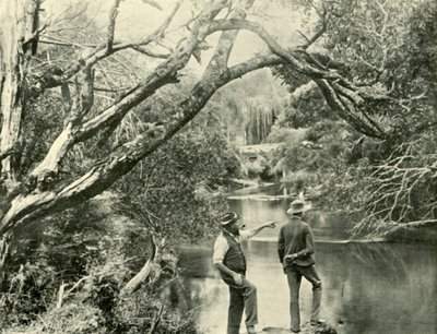 1901年，维多利亚州上亚拉市的发射场。 作者 不明