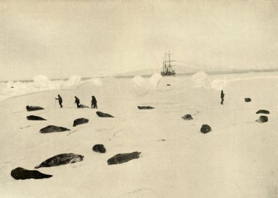1909年3月4日，在普拉姆角（Pram Point）的猎人 作者 不明