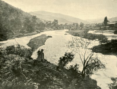 1901年，在明亮的烤箱。 作者 不明
