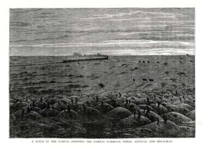 南美低地潘帕斯铁路，1877年 作者 不明