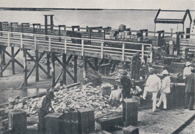 珍珠捕鱼业-包装外壳，1923年。 作者 不明