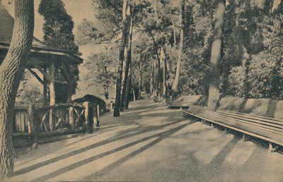 松径，1929年 作者 不明