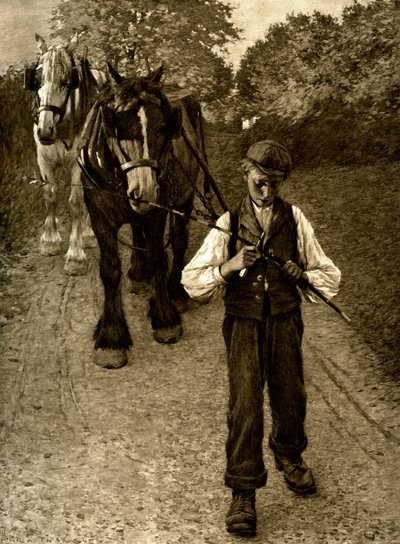 犁男孩，1900年 作者 不明