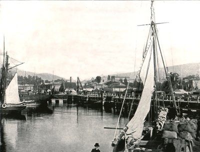 澳大利亚塔斯马尼亚州霍巴特港，1895年。 作者 不明