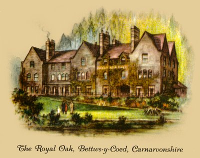 皇家橡树，Bettws-y-Coed，卡纳芬郡，1936年。 作者 不明