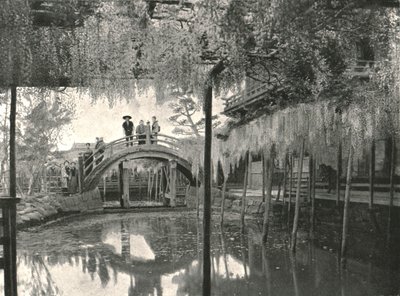 1895年，日本东京龟户市的新池池和紫藤。 作者 不明