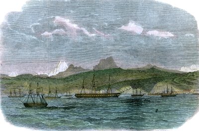 智利瓦尔帕莱索的西班牙封锁中队，大约于1880年 作者 不明