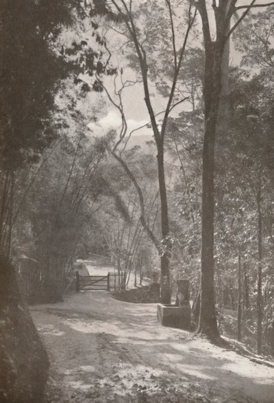 蒂茹卡精神，1914年 作者 不明
