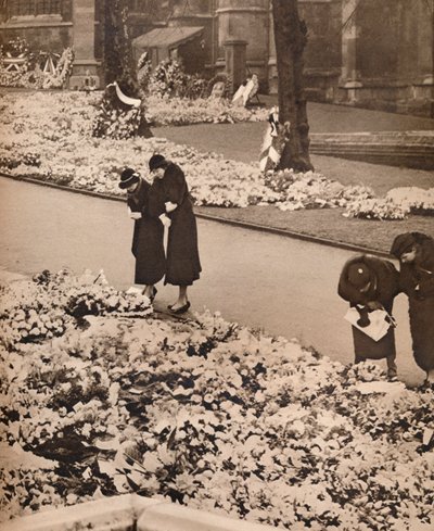 温莎乔治五世国王国葬：纪念花圈，1936年 作者 不明
