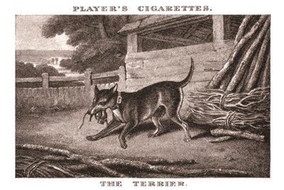 《小猎犬》，1924年。 作者 不明