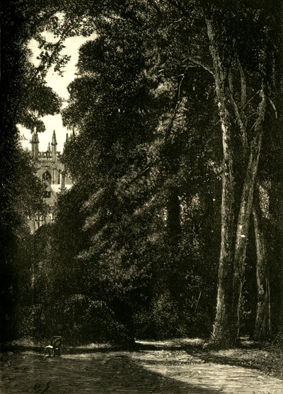 默顿塔，来自花园，1898年。 作者 不明