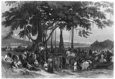 锡克教徒不定期骑兵的突击部队的到来，印度，c1860 作者 不明