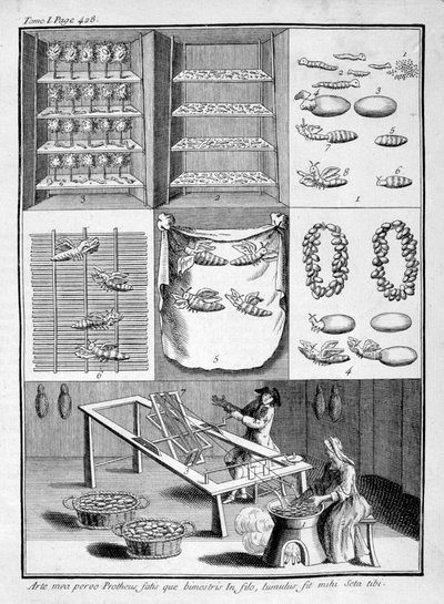 蚕的繁殖，1775年 作者 不明