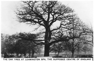 Leamington Spa（假定的英格兰中心）的橡木，1936年 作者 不明
