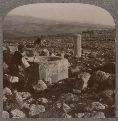 Tekoa遗址，c1900 作者 不明