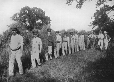 劳动力短缺：1915年协助收割的士兵 作者 不明