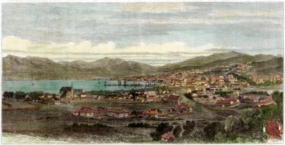 惠灵顿镇和港口，新西兰首都，c1880 作者 不明