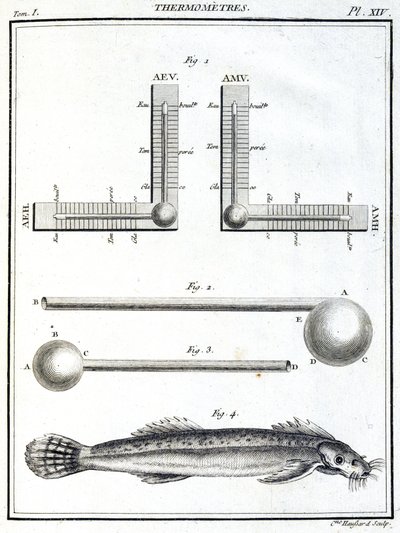 Thermometers 作者 不明