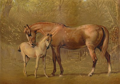 良种母马和驹，c1879。 作者 不明