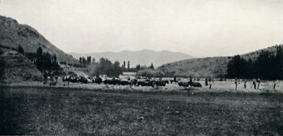 1911年以古代方式播种玉米 作者 不明