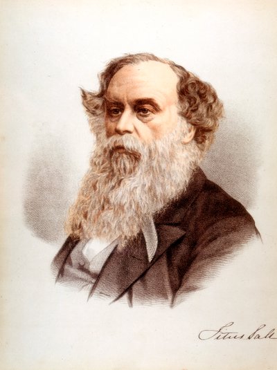 Titus Salt，英国羊毛订书机和实业家，c1880 作者 不明