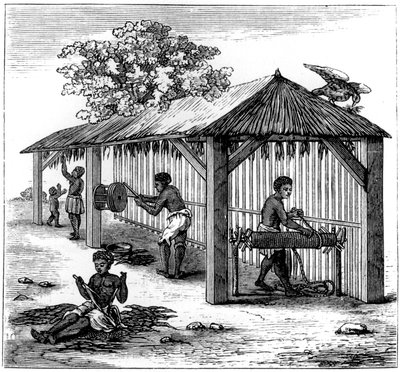 烟草制品，1873年 作者 不明
