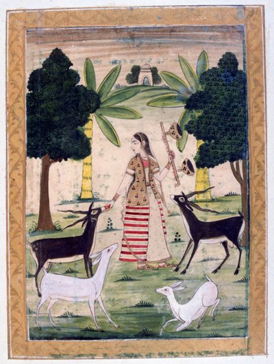 托迪·拉吉尼（Todi Ragini），拉加马拉专辑，拉贾斯坦邦学院，19世纪 作者 不明