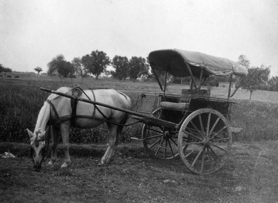 汤加马车，印度穆特拉，1917年 作者 不明
