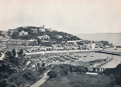 托基-Waldron Hill的全景，1895年 作者 不明