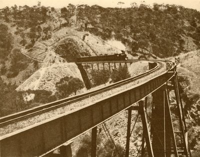 火车经过高架桥，南澳大利亚山，1930年。 作者 不明