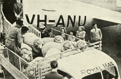 航空运输奖公羊，c1948年。 作者 不明