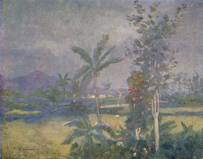 西印度群岛的热带降雨，1924年 作者 不明