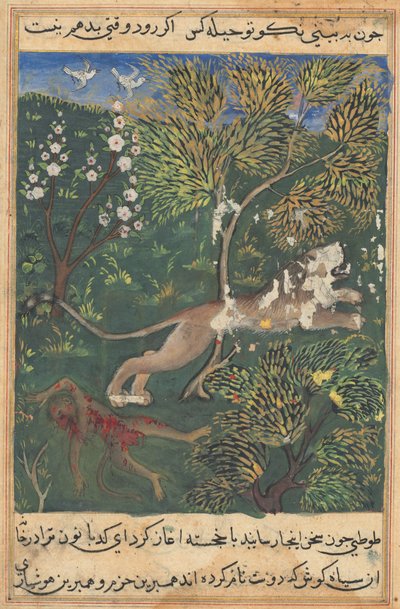 图蒂·纳玛（Tuti-Nama）的鹦鹉故事：故事二十一，c。 1560。 作者 不明