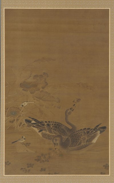 两只鹅在荷花池中觅食，明代，16-17世纪。 作者 不明