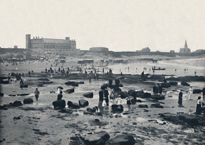 泰恩茅斯-水族馆和沙滩，1895年 作者 不明