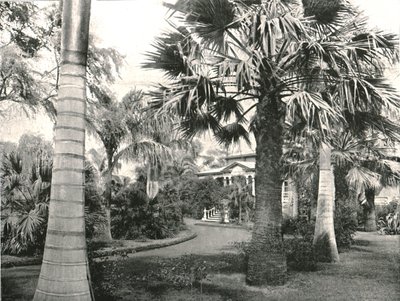 典型的夏威夷围场，美国檀香山，1895年。 作者 不明