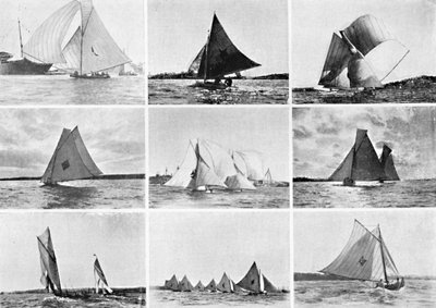 典型的悉尼港游艇风光，c1900。 作者 不明