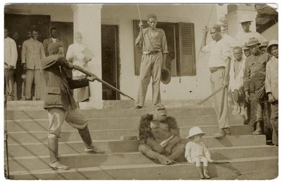 一只被驯服的大猩猩，约1910年（黑白照片）。 作者 不明