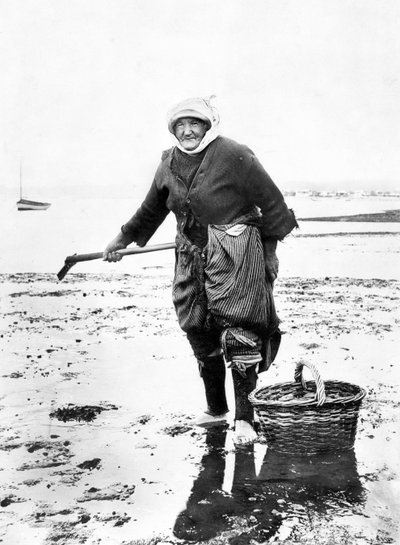 英国：一位老妇人在海边采集鸡冠花，约1890年 作者 不明