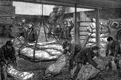 从澳大利亚，西南印度码头，米尔沃尔，伦敦，1881年卸下冷冻肉 作者 不明