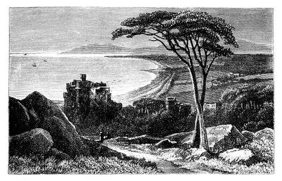 维多利亚城堡，远处是基利尼·布雷（Killiney-Bray），爱尔兰，c1888 作者 不明