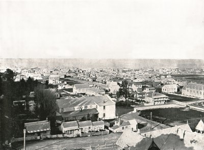 1895年，新西兰纳皮尔，弥尔顿路（Milton Road）上的景色。 作者 不明