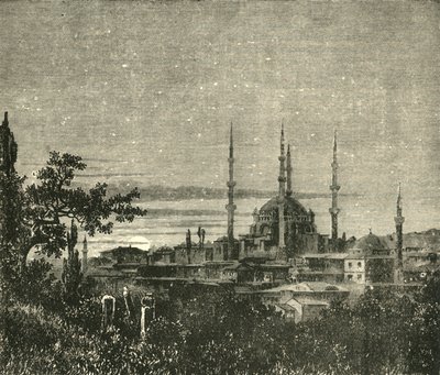 查看在阿德里亚诺普尔-塞利姆二世清真寺，1890年。 作者 不明