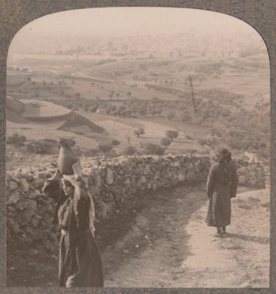 耶路撒冷从彼得斯之家，c1900年的视图 作者 不明