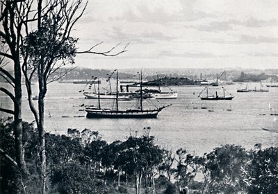 悉尼港从北岸的视图，第1号，c1900。 作者 不明